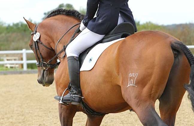 5142_41581817455d1866da644d