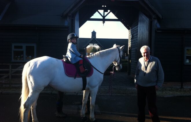 horse